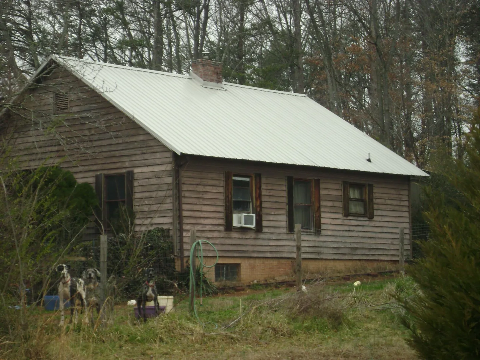 White metal roof on an old wood sided farmhouse, from a Asphalt Shingle Roof Repair job in Kalispell
